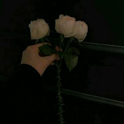 蛟龙突击队反恐演练：四目夜视仪+飞行头盔亮眼